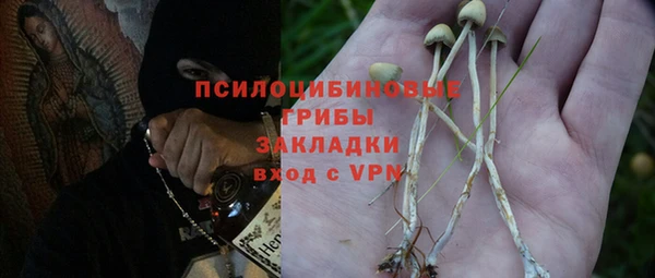 прущая мука Богданович