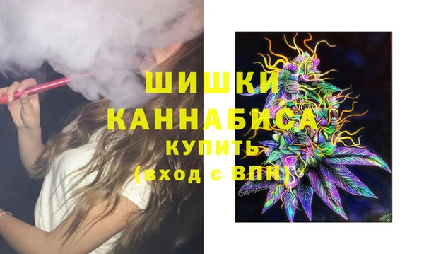 шишки Волосово