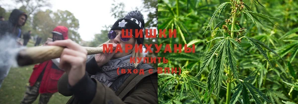 шишки Волосово