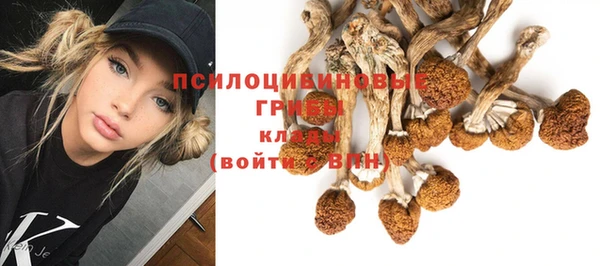шишки Волосово